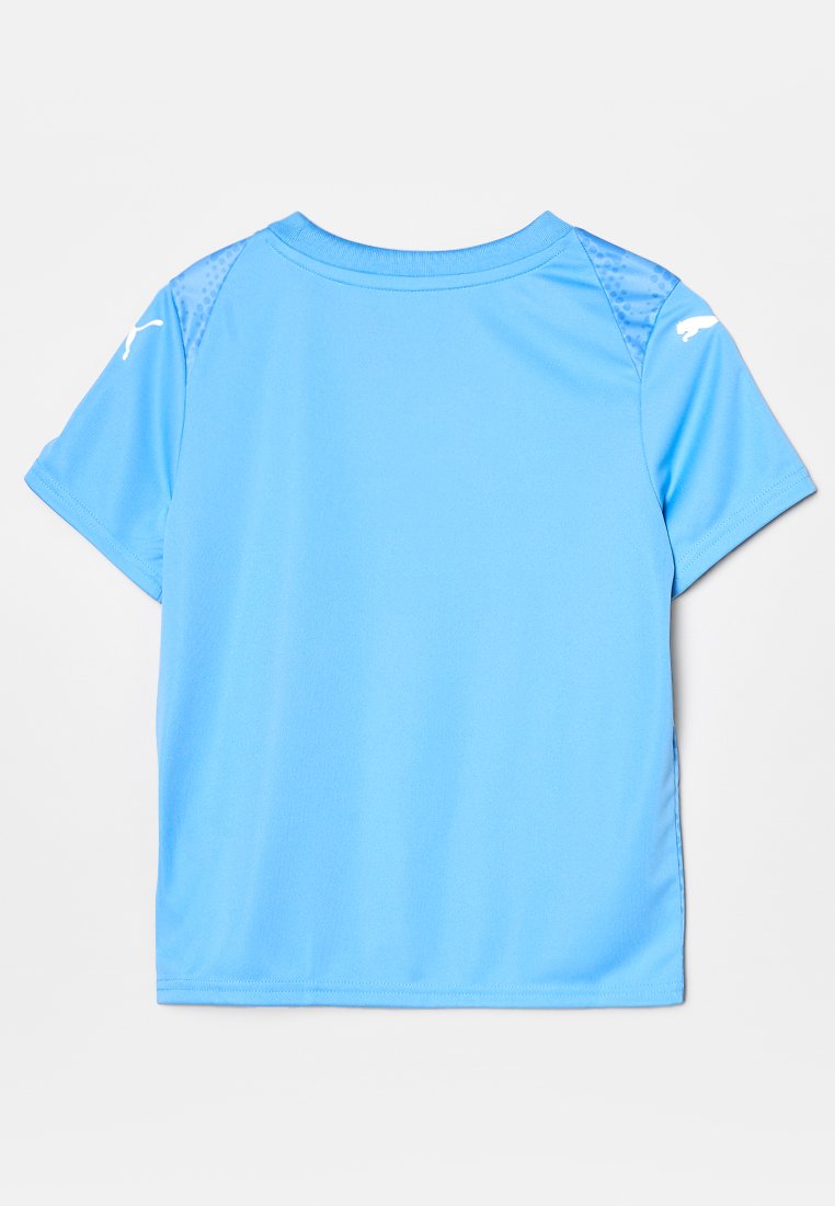Puma TEAMULTIMATE