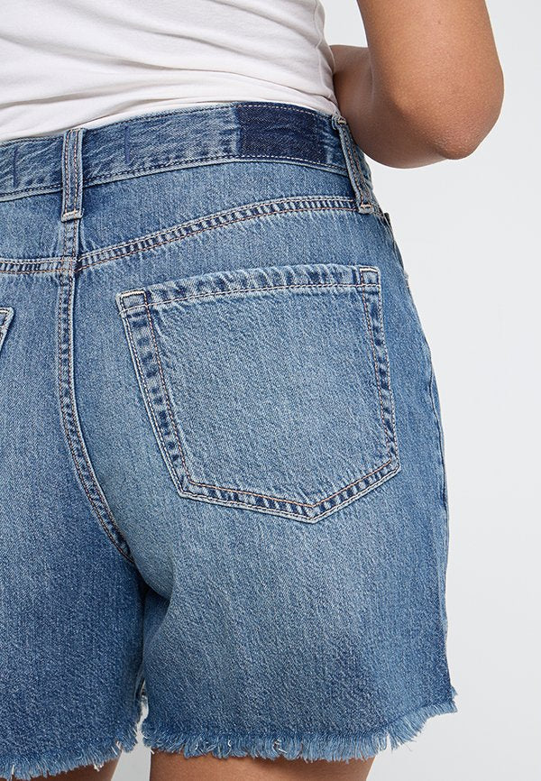 Hollister Co.