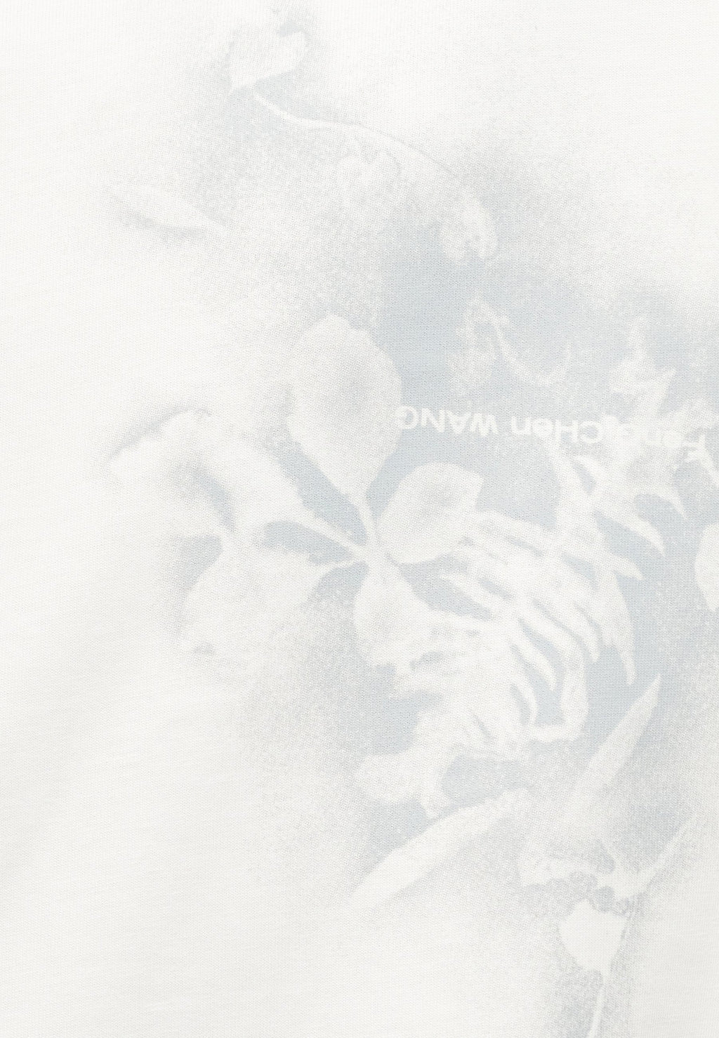 Feng Chen Wang SPRAY PAINTED PLANTS DYE TEE
