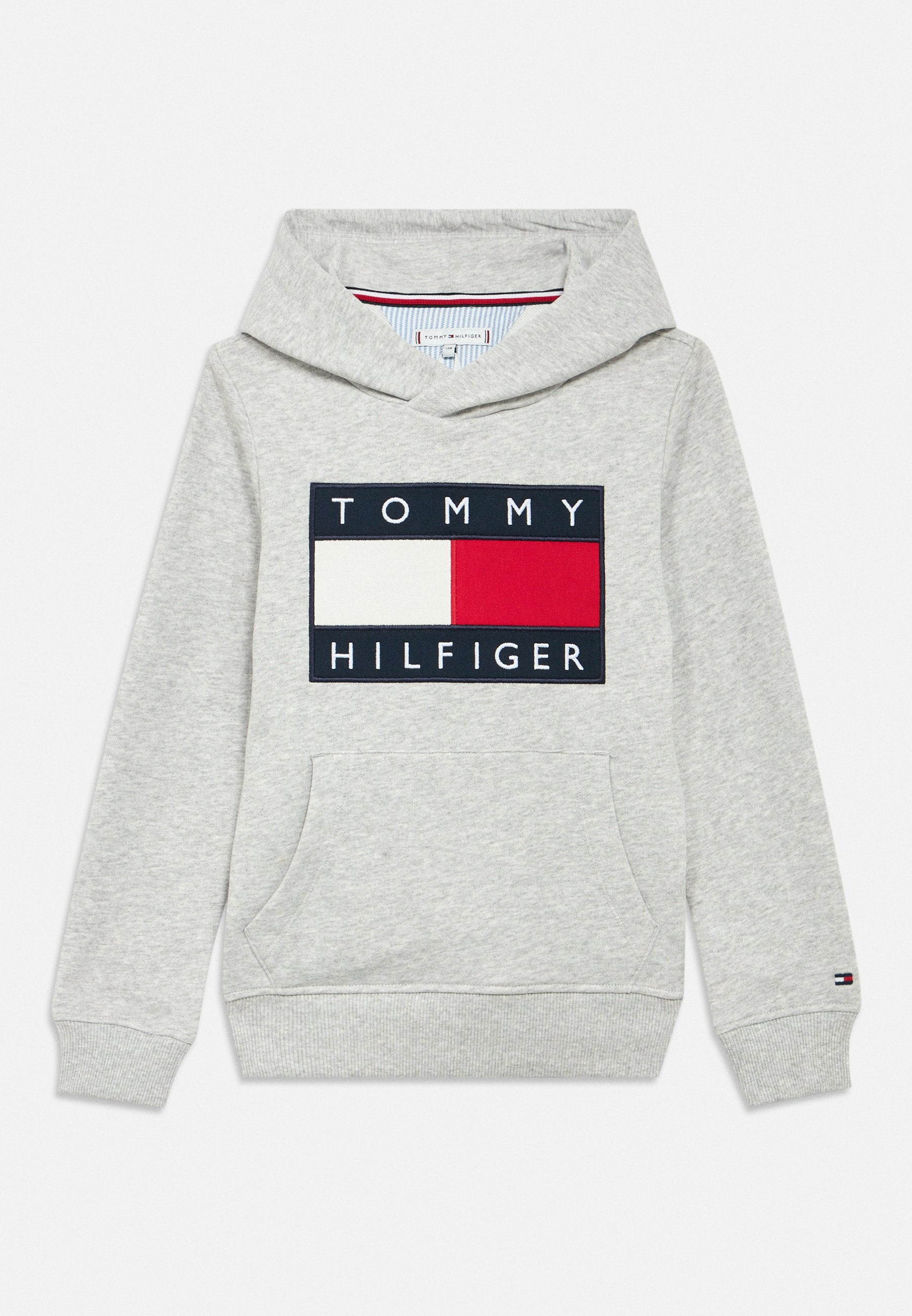HERITAGE FLAG BADGE TERRY HOODY Media 1