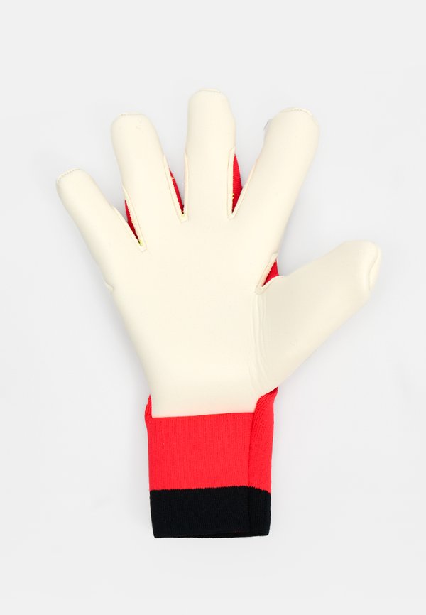 adidas Performance PREDATOR PRO