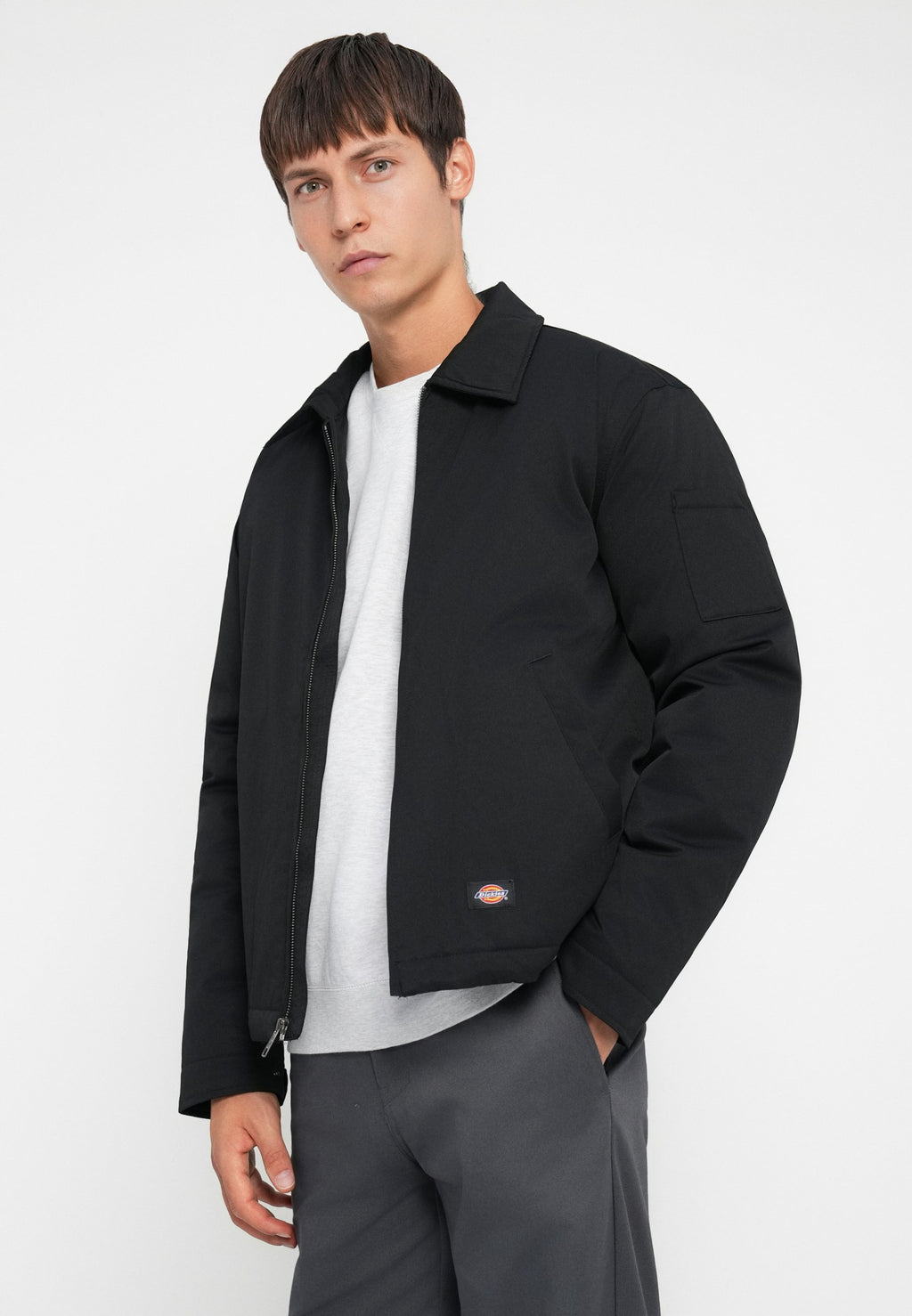 Dickies EISENHOWER PUFFER