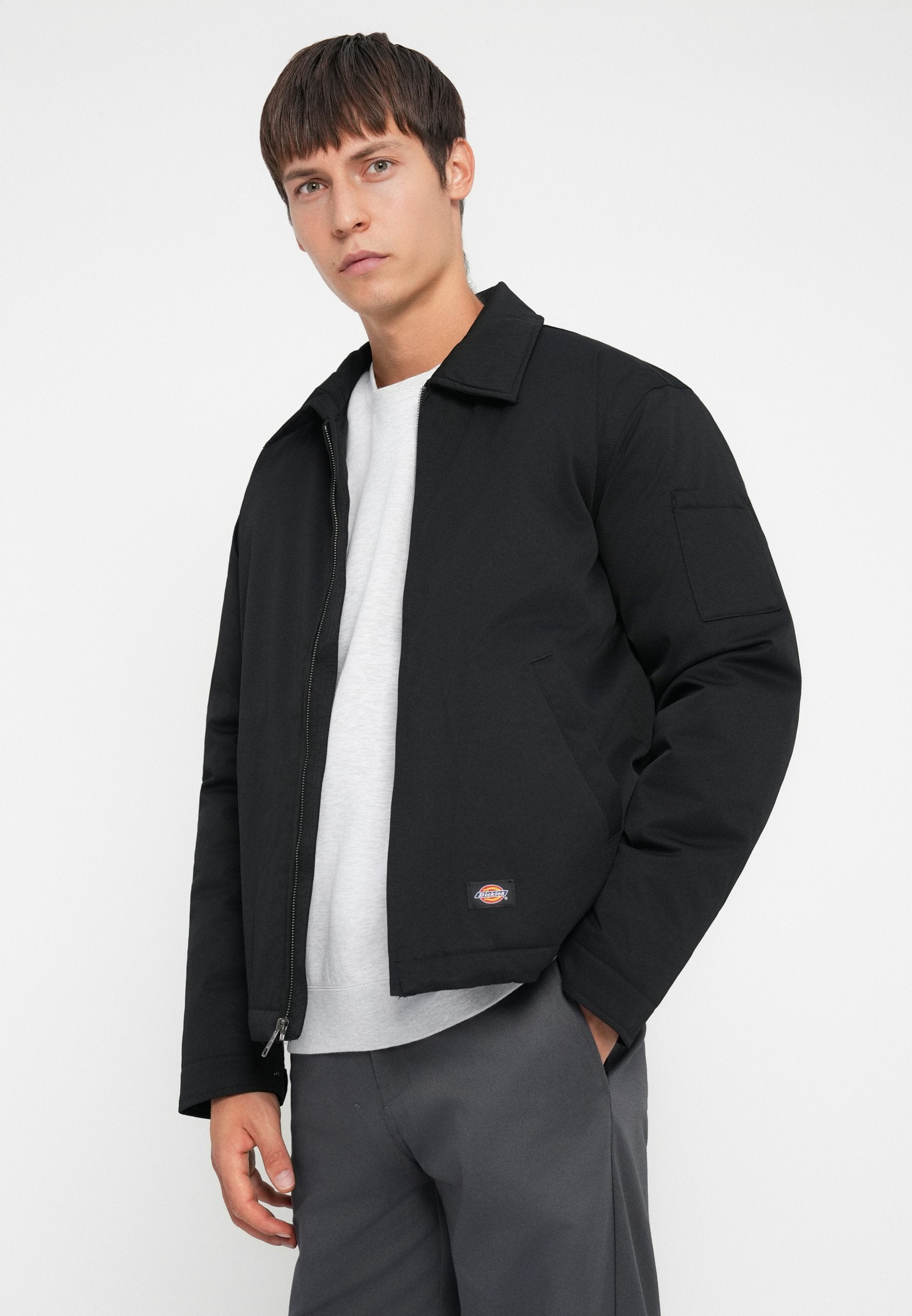 Dickies EISENHOWER PUFFER
