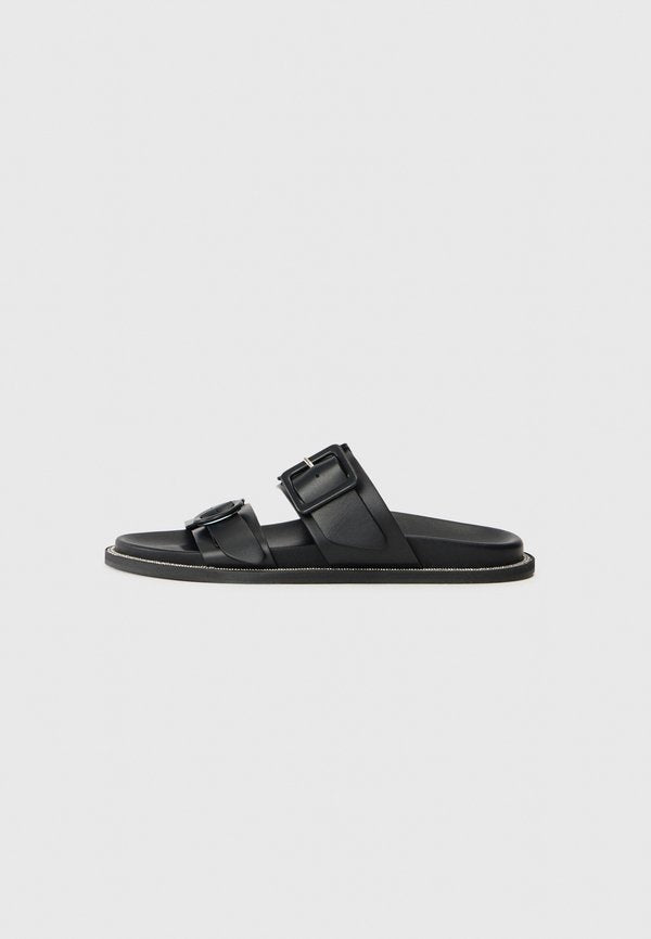 Pollini