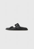 Pollini