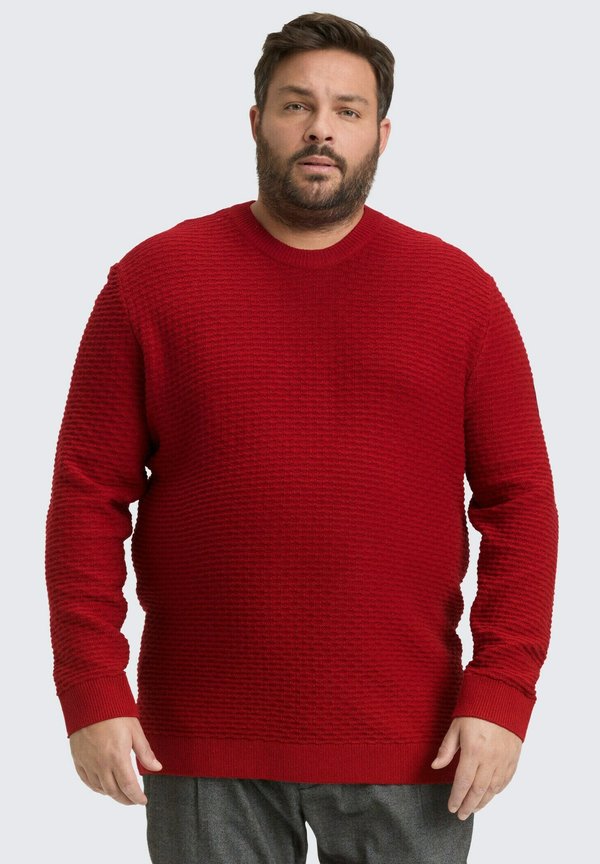 TOM TAILOR PLUS SIZE MIT RUNDHALSAUSSCHNITT - Jumper - coach red