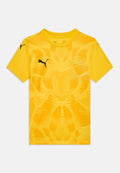 Puma TEAMULTIMATE