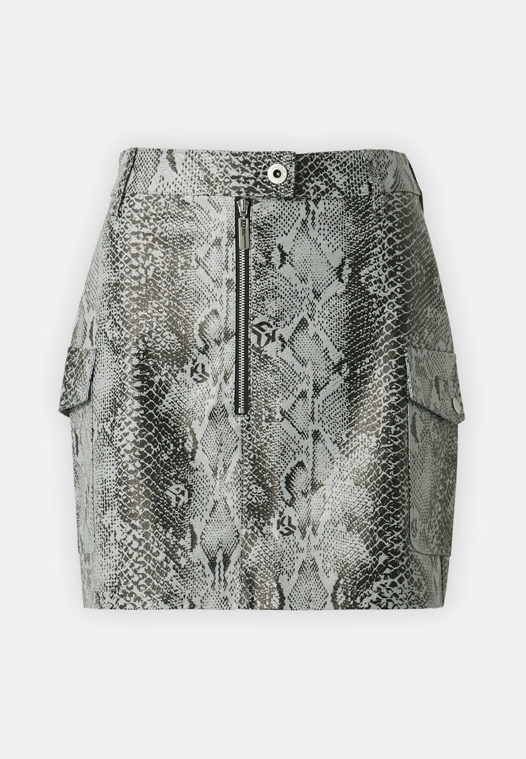 SKIRT Media 1