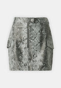 SKIRT Media 1