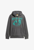 Superdry & Co GRAPHIC - Hoodie - granite grey marl