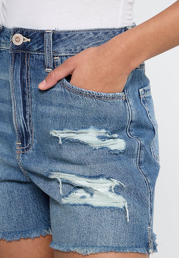Hollister Co.