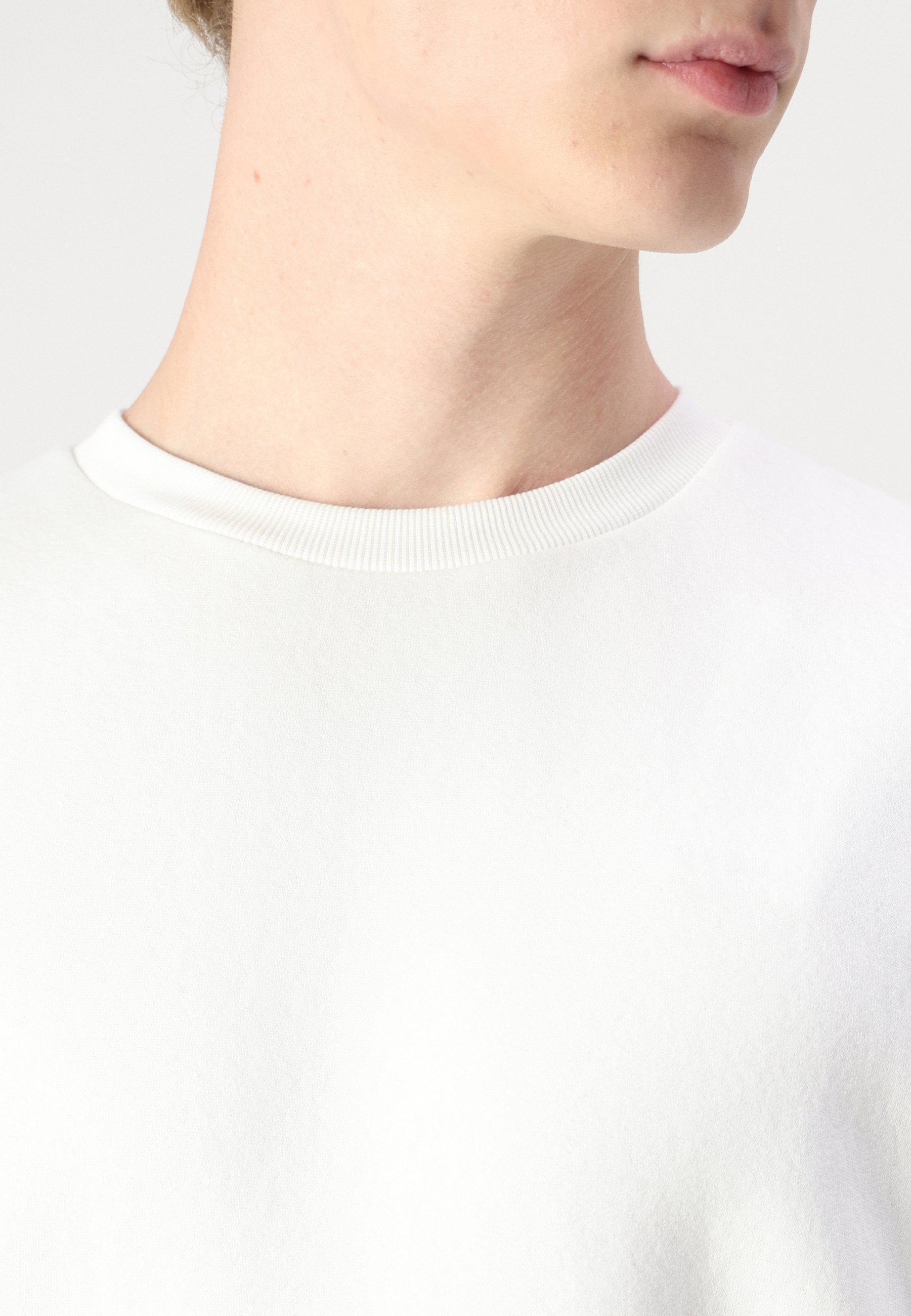 Jack & Jones JJEBRADLEY SWEAT CREW NOOS