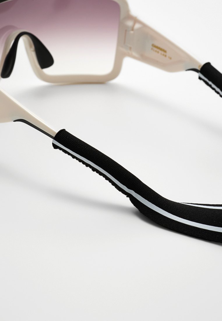 Carrera FLAGLAB
