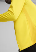 Puma TEAMGOAL