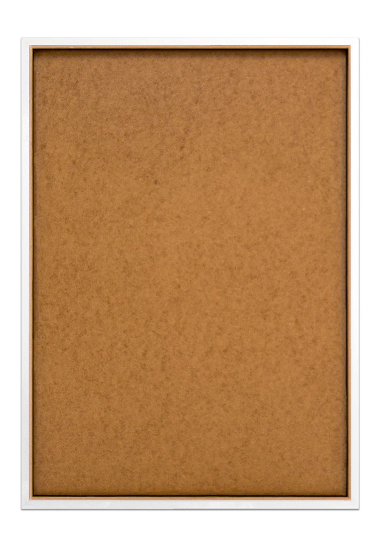 Orange Wallz COLOURFUL PAINTED FLOWERS II