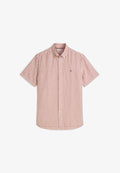 Tommy Hilfiger Shirt - rusty ochre   stripe