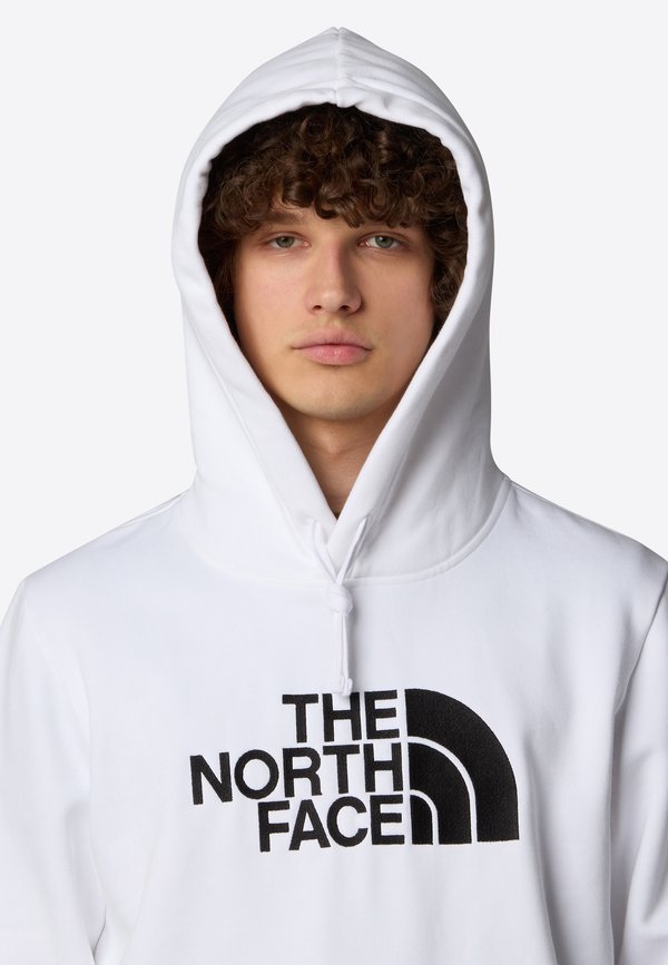 The North Face DREW PEAK REGULAR HOODIE