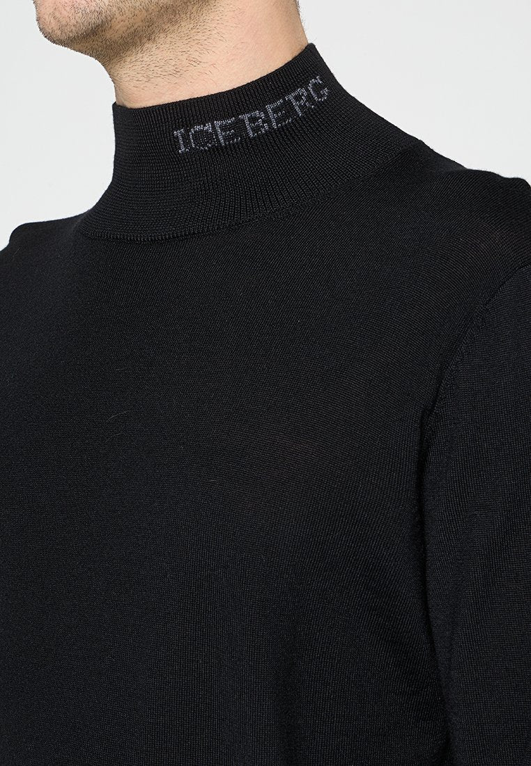Iceberg