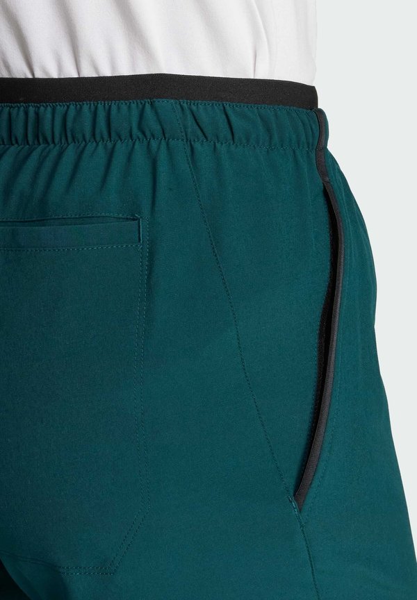 adidas Terrex TERREX MULTI LITEFLEX PANTS