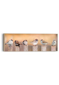 Orange Wallz SPARROWS