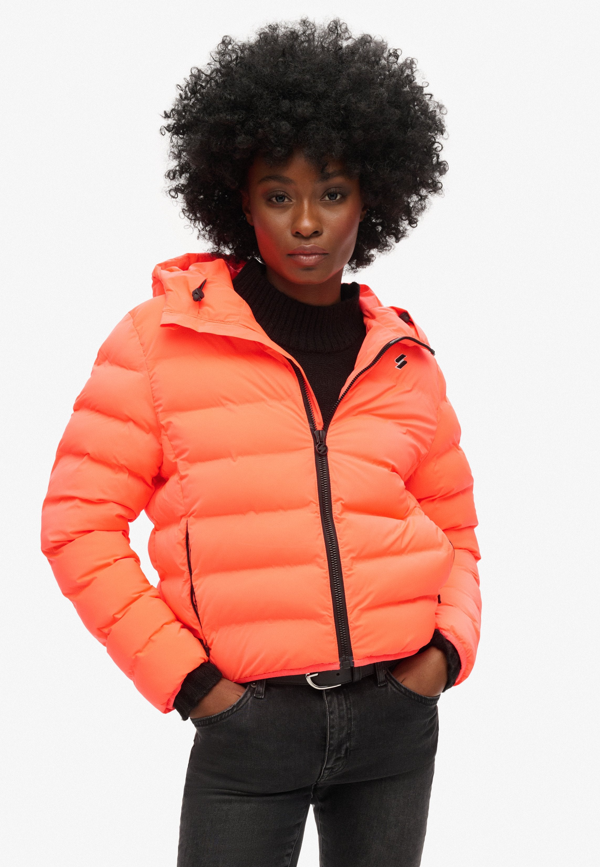 Superdry & Co ALL SEASONS