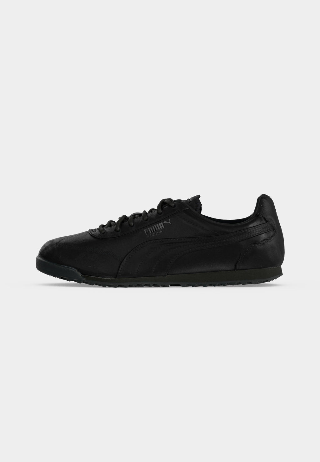 Puma ARIZONA