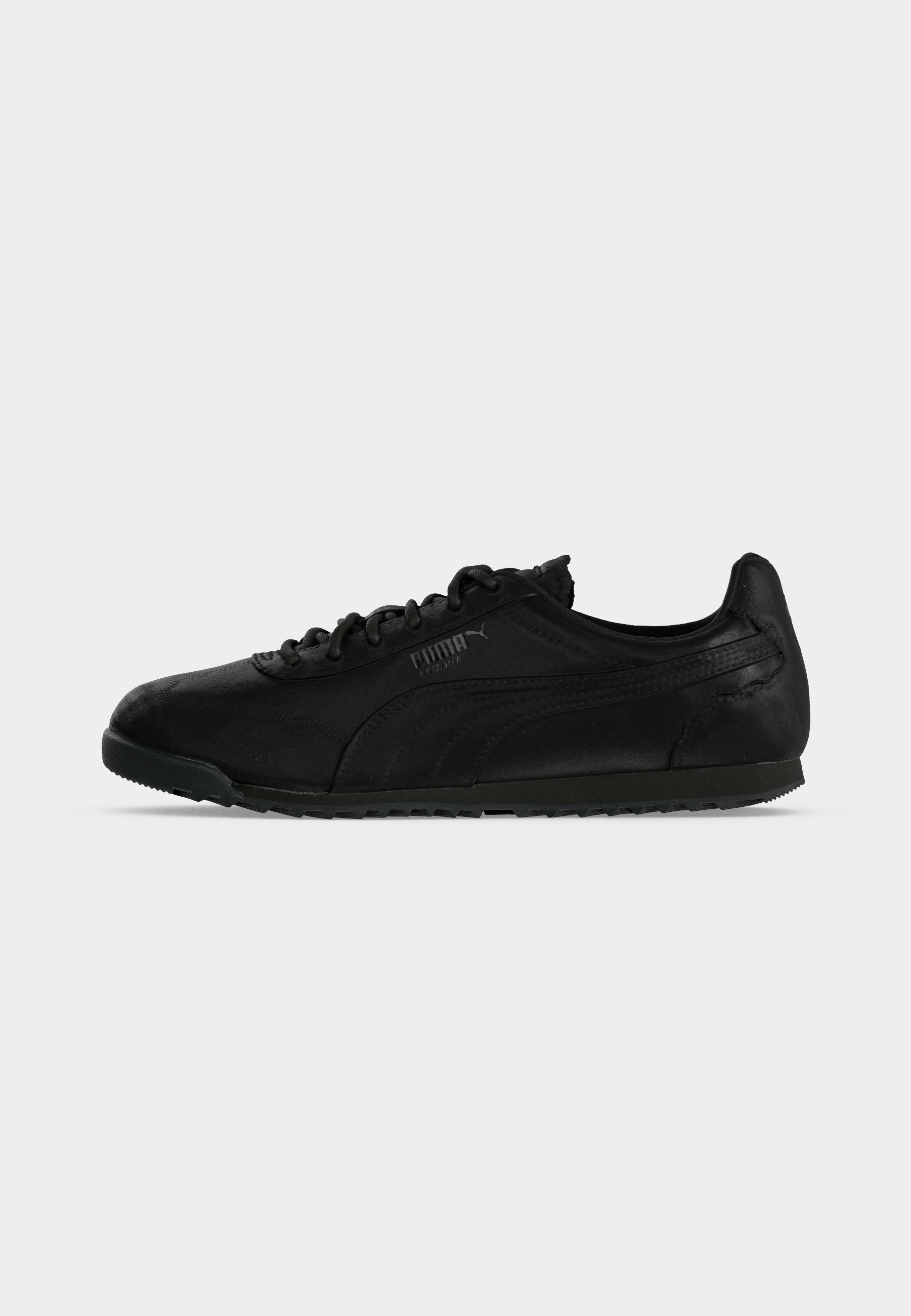 Puma ARIZONA