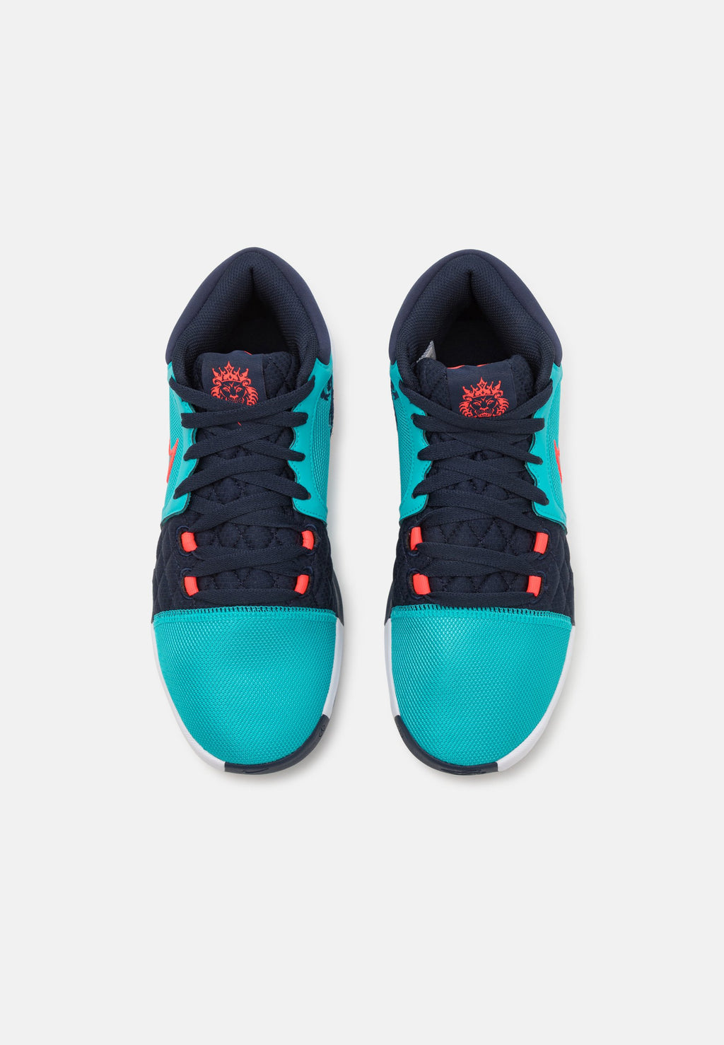 Nike Performance LEBRON WITNESS VIII