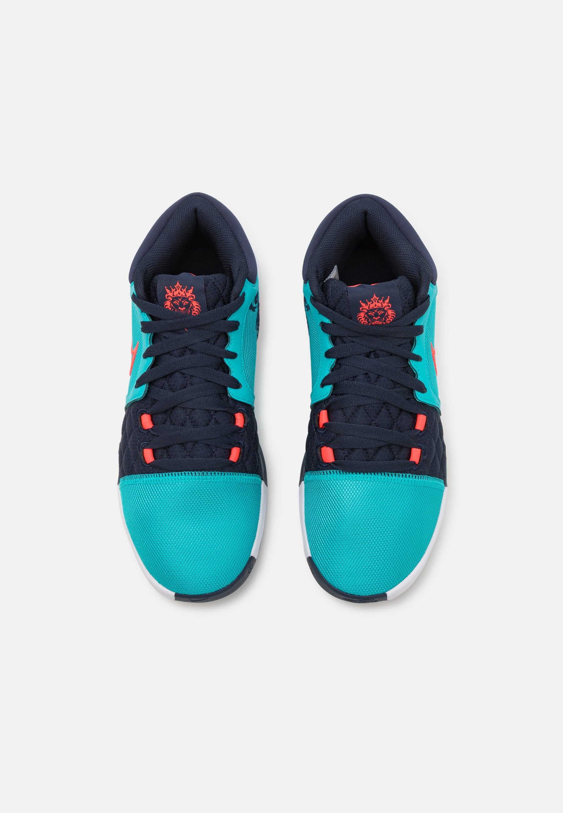 Nike Performance LEBRON WITNESS VIII