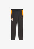Puma GALATASARAY S.K. SLIM TRAININGSHOSE - Club wear - grau