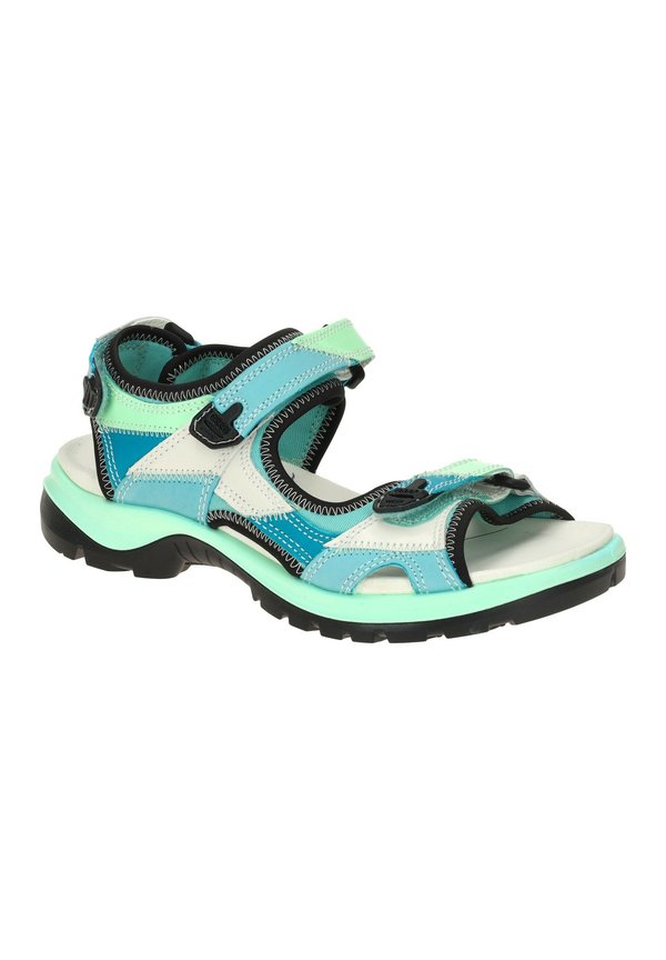ECCO