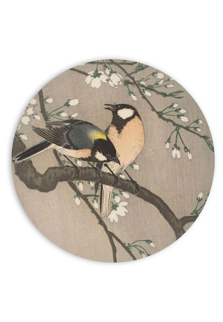 Orange Wallz OLD MASTER YELLOWBIRD