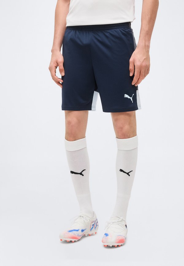 Puma INDIVIDUALLIGA TRAINING SHORTS - Sports shorts - dark blue/icy blue/strong gray