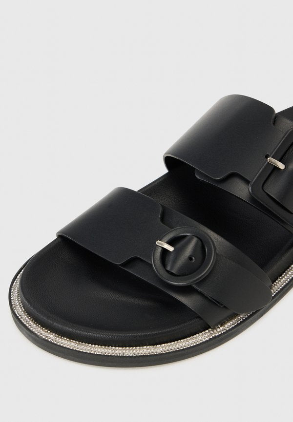 Pollini