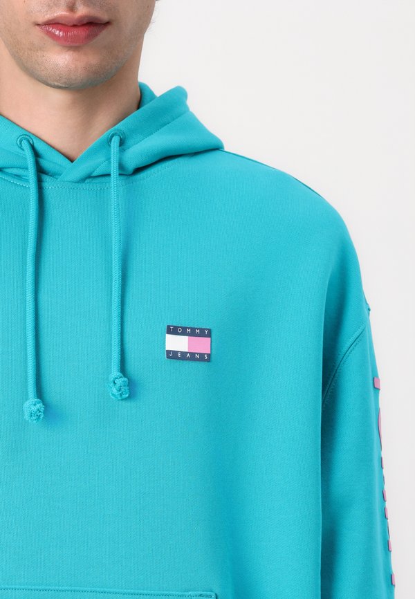 Tommy Jeans CLASSICS HOODIE