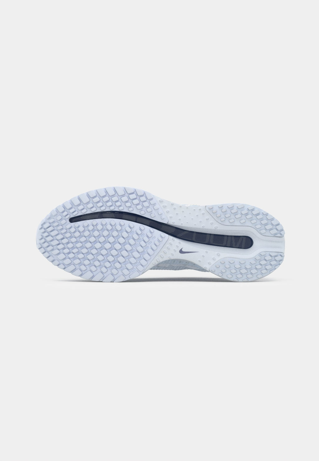 Nike Performance PEGASUS PREMIUM