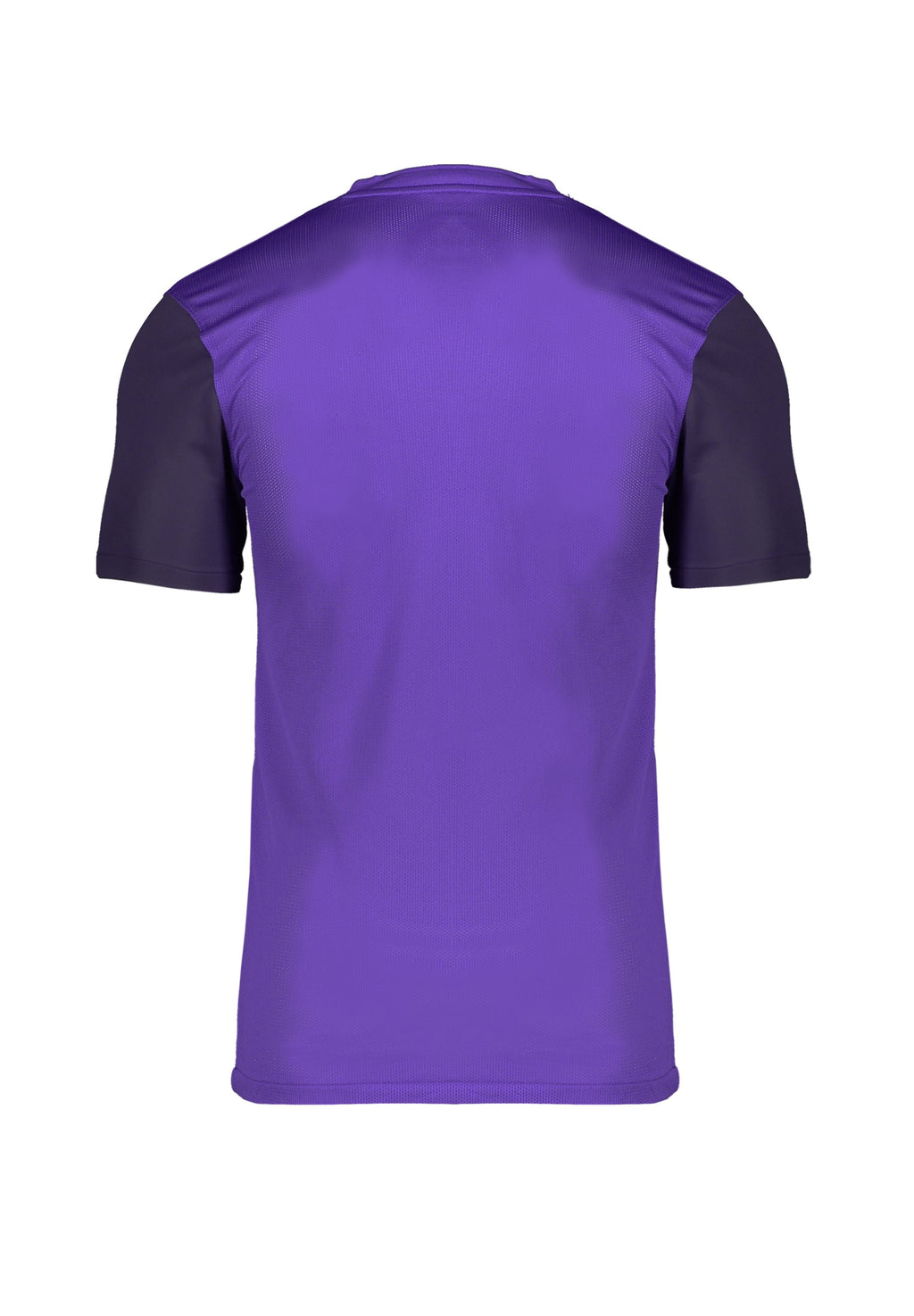 Nike Performance FUSSBALL - TEAMSPORT - TROPHY V T