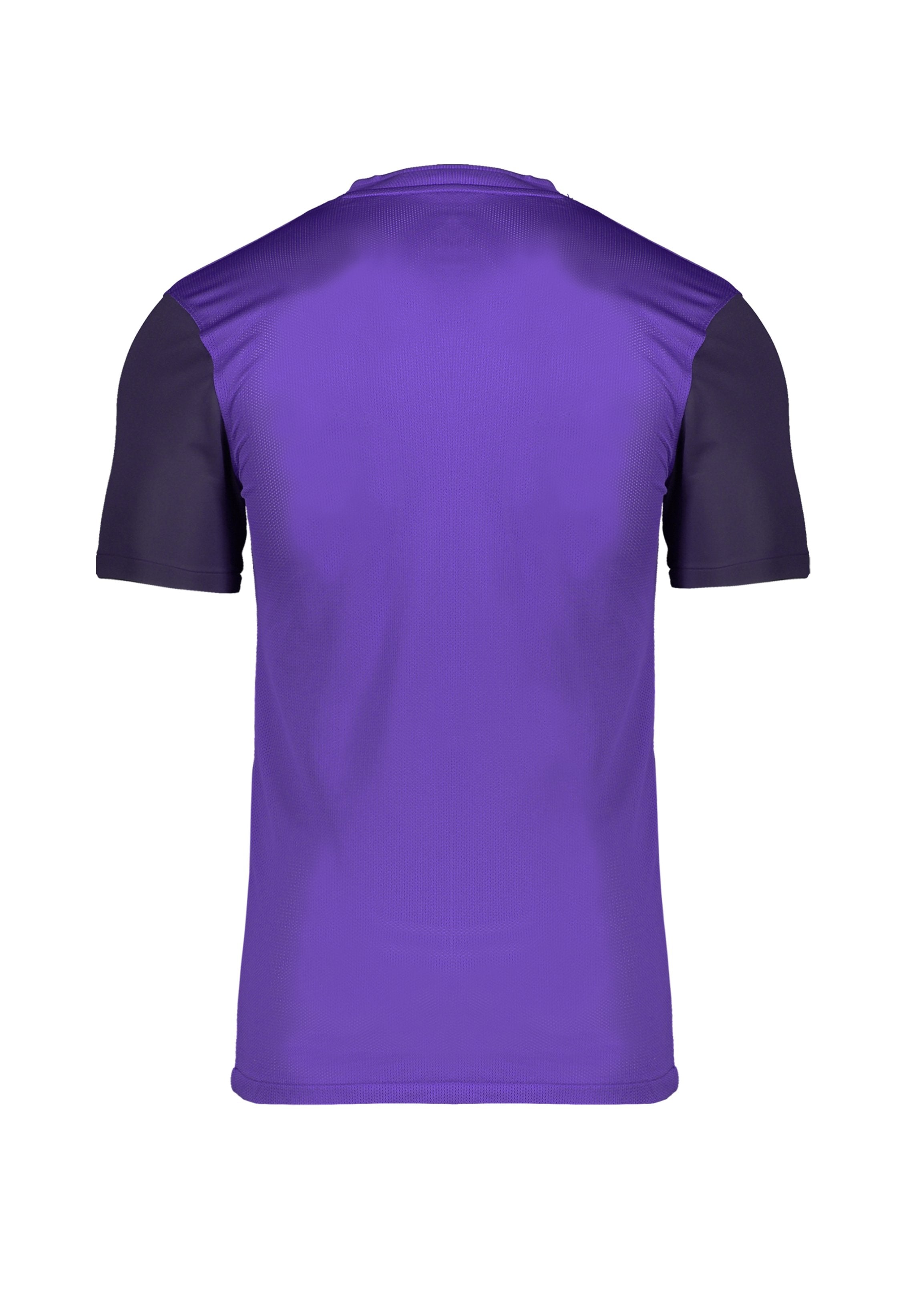 Nike Performance FUSSBALL - TEAMSPORT - TROPHY V T