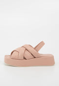 Pollini