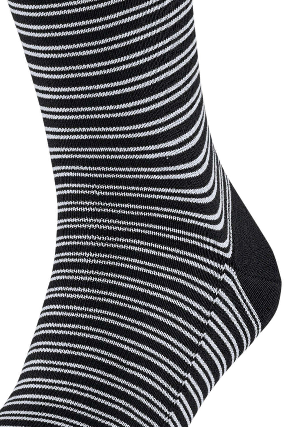 FALKE FAMILY 2-PACK
