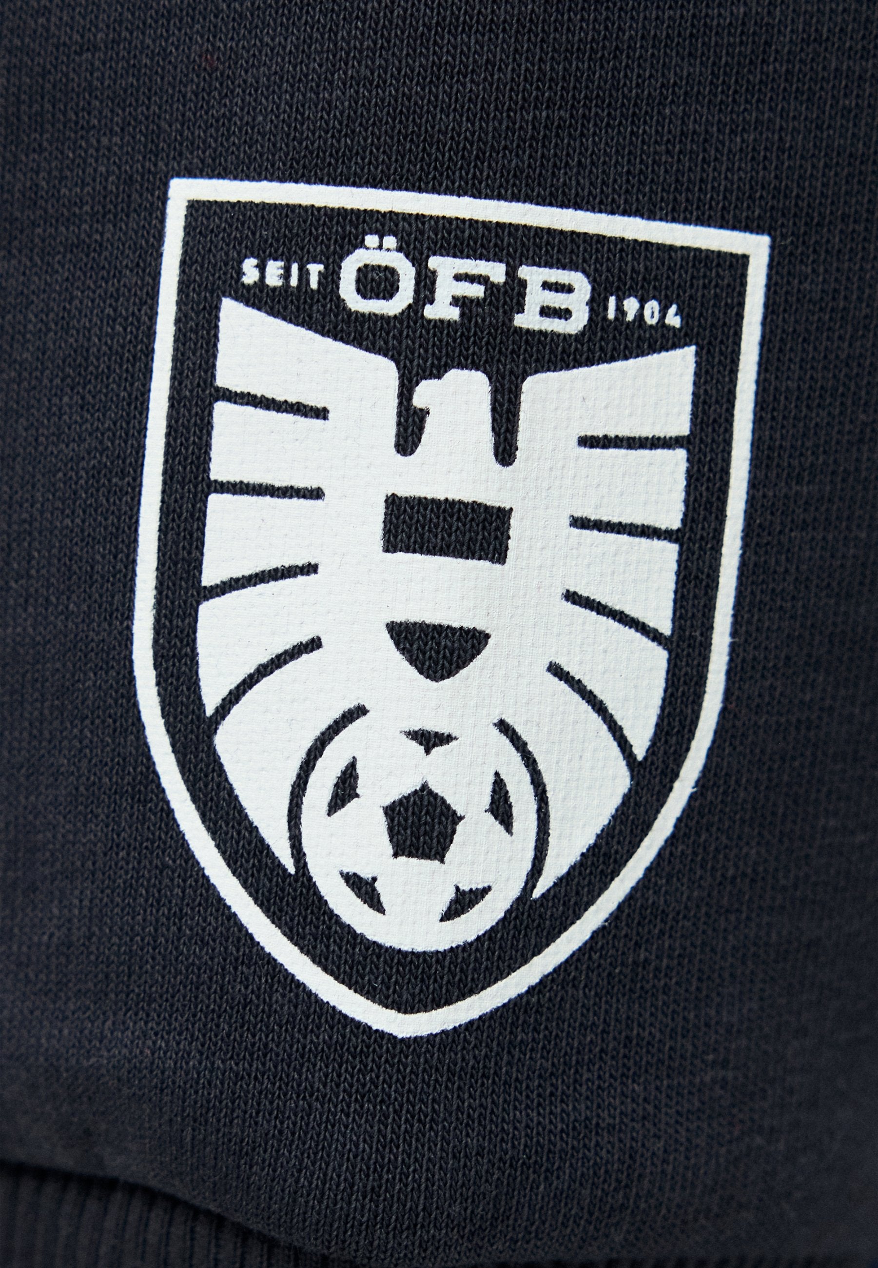 Puma AUSTRIA ÖFB FTBLCULTURE HOODIE