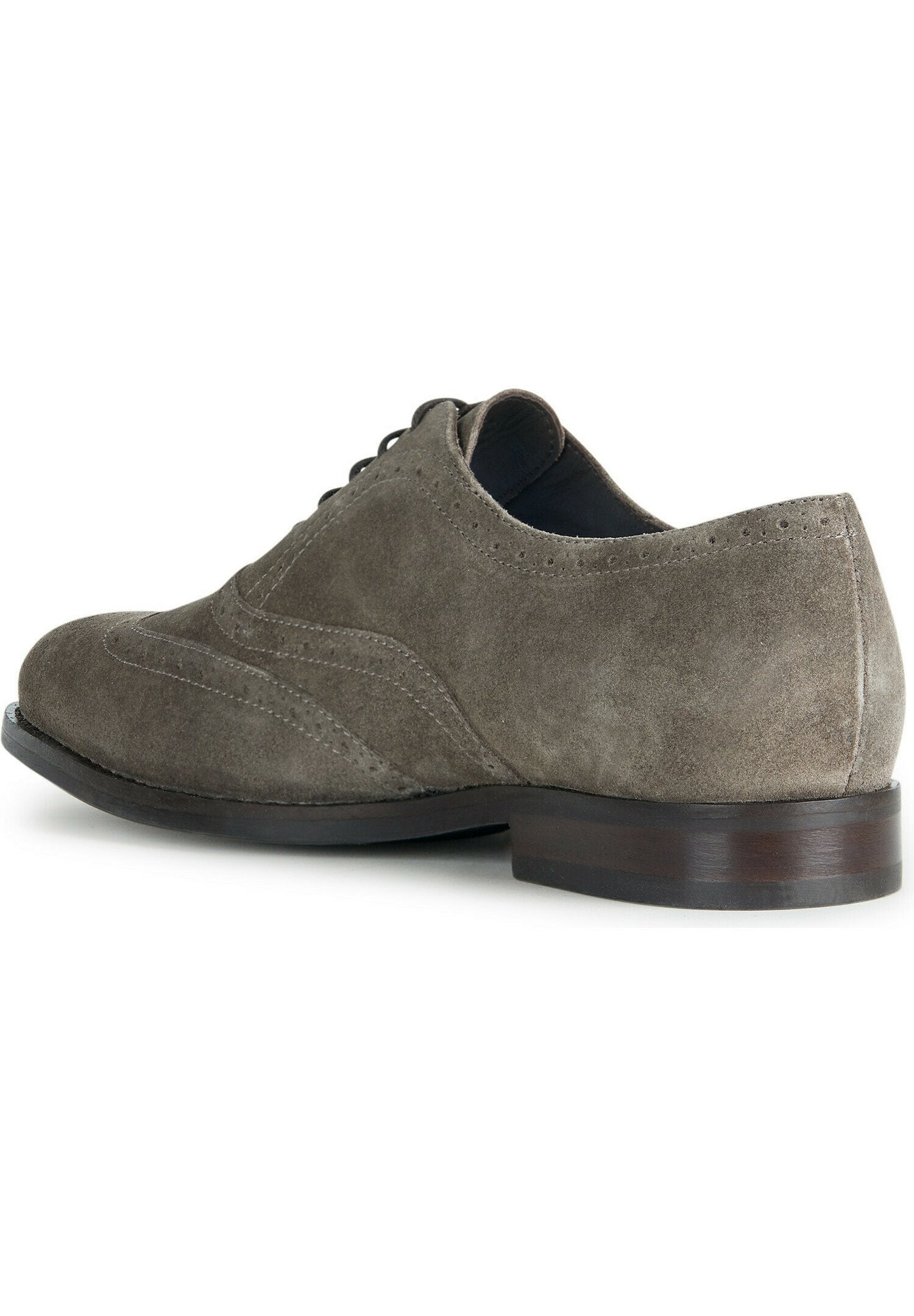 Geox U HAMPSTEAD