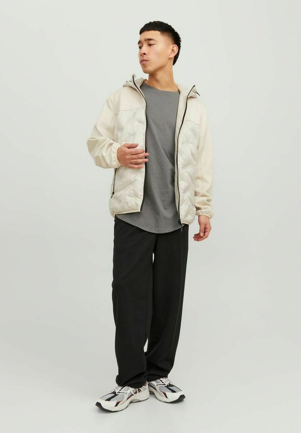 Jack & Jones Winter jacket - moonbeam