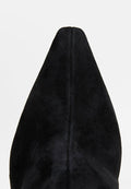 Pollini
