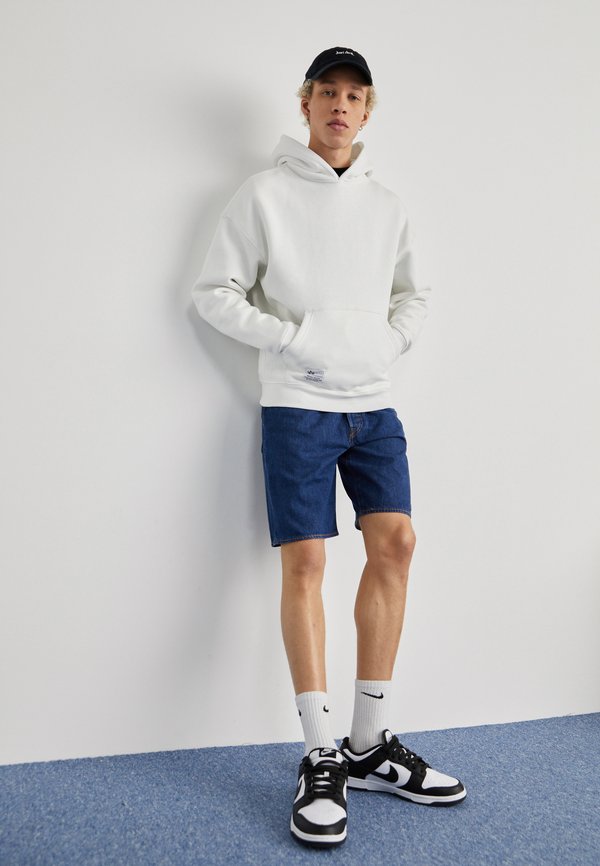 Alpha Industries LOGO BP