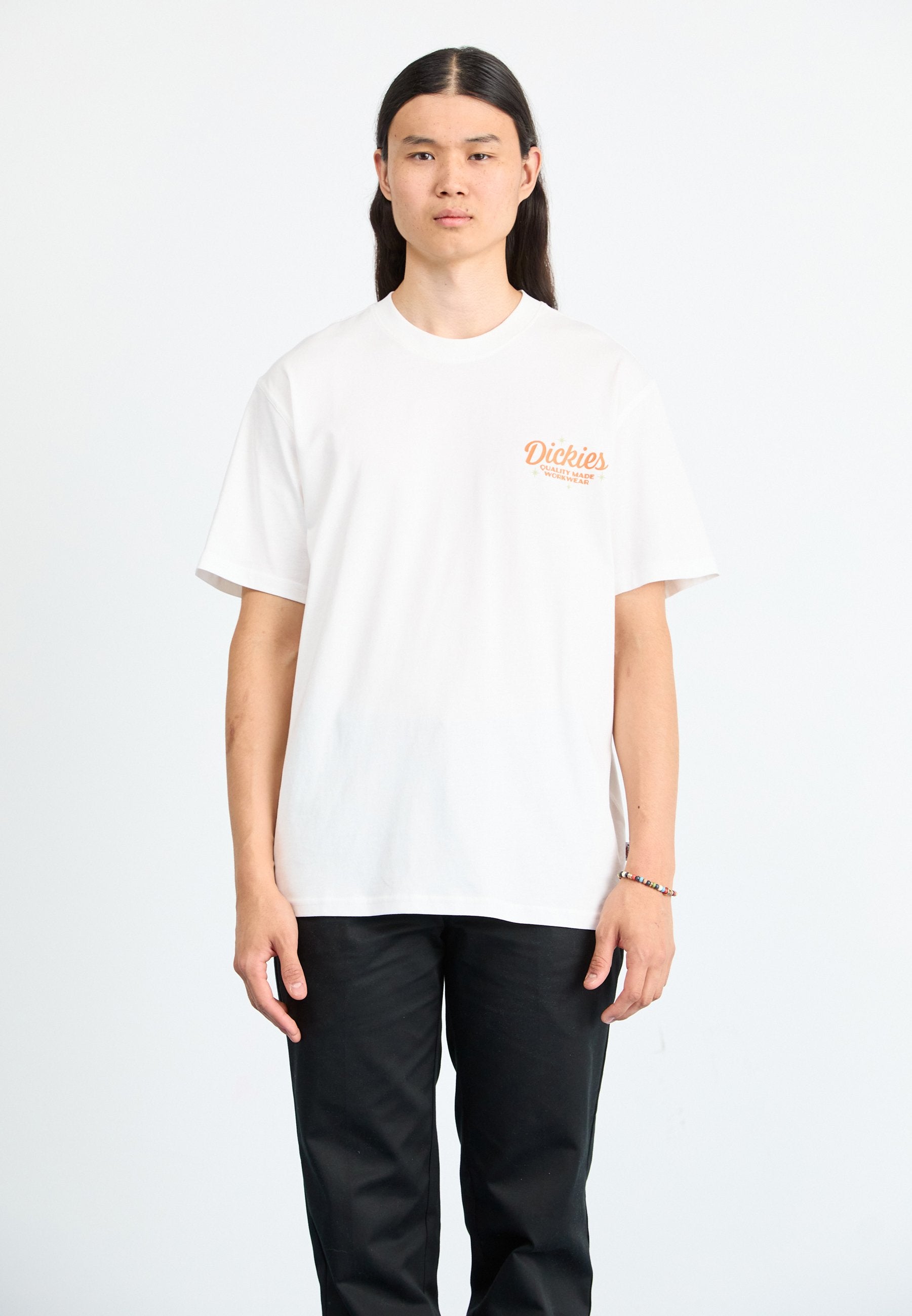 Dickies COALTON TEE