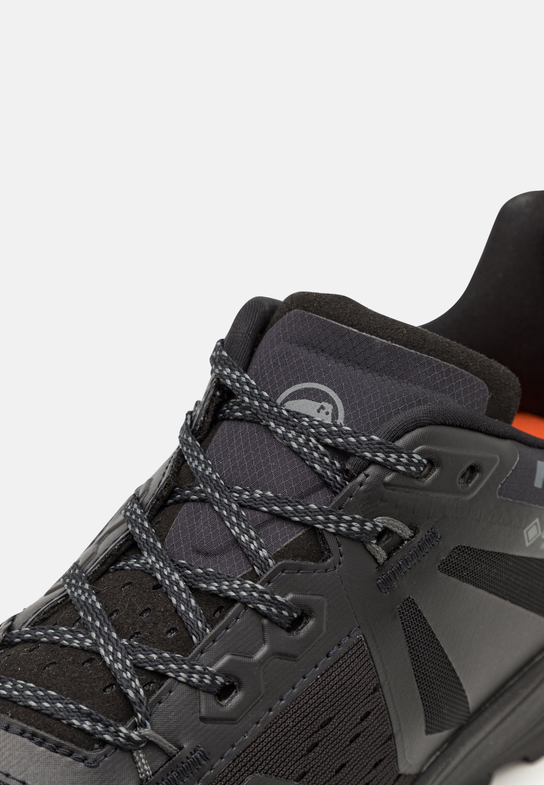 Mammut SAENTIS TR GTX