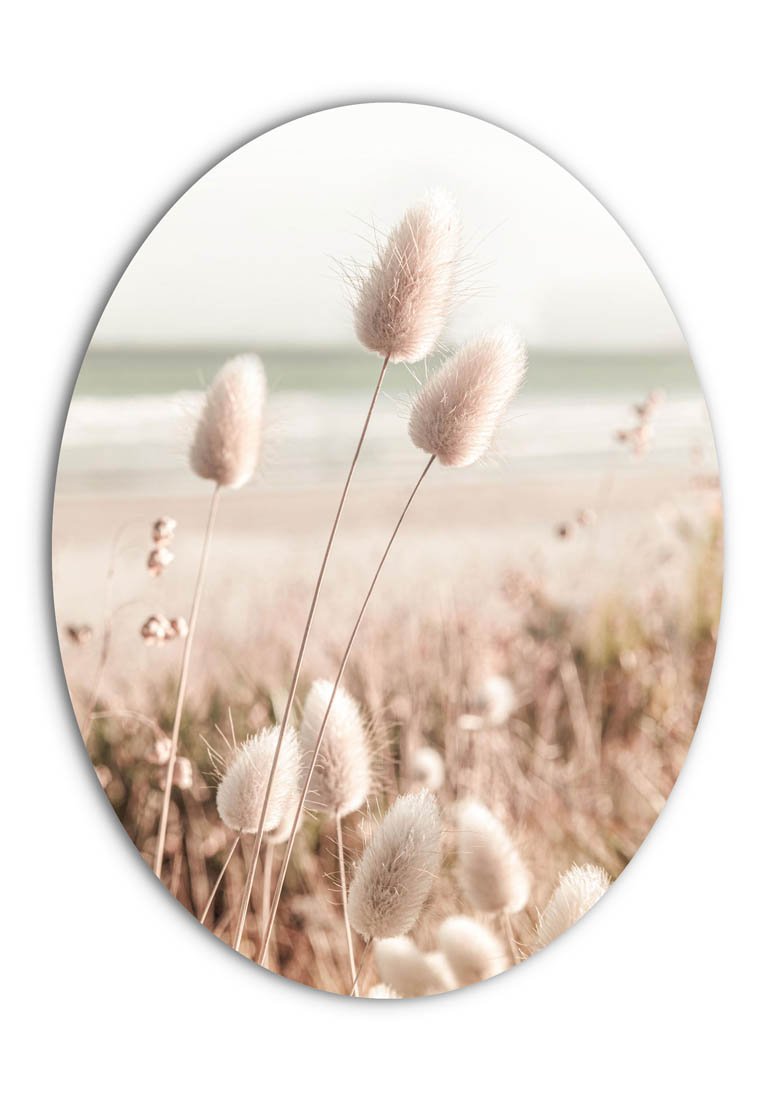 Orange Wallz GRASSES ON BEACH