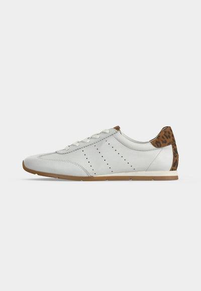 Anna Field by Zalando LEATHER