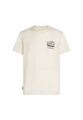 icebreaker M MER 150 TECH LITE SS TEE EVOLVING LAY